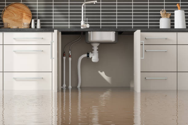 Trusted Water Damage Restoration in Elmira, NY | Fast, Reliable, and Ready to Assist You