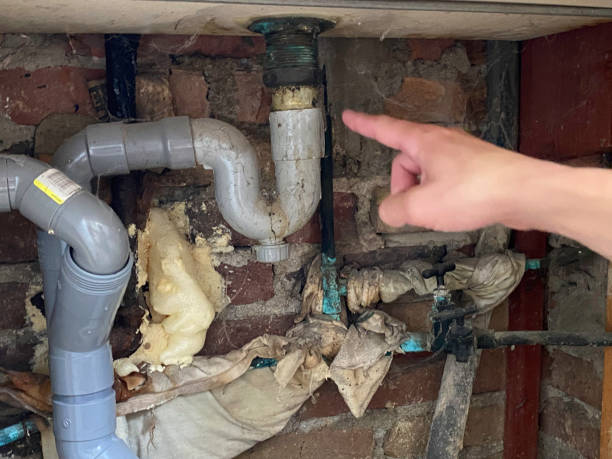 Best Plumbing Leak and Burst Pipe Cleanup in Elmira, NY